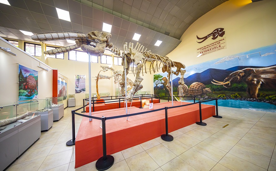 Museo de Paleontología y Arqueología de Estanzuela «Ing. Roberto Woolfolk Saravia”